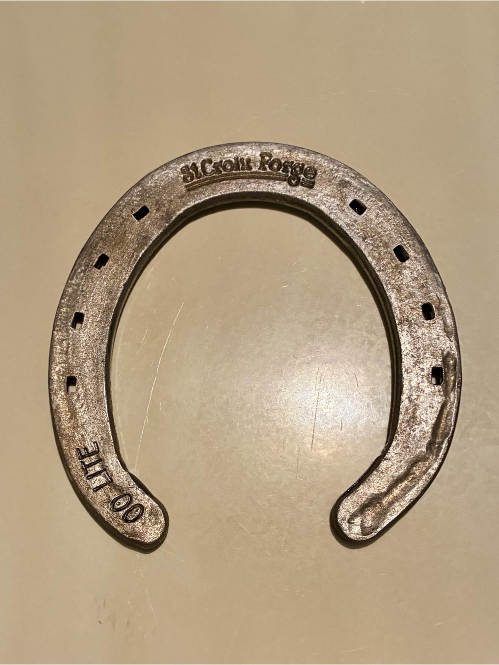 Rustic Metal Horseshoe